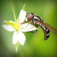 /album/menutest/photolia-a02-jpg/