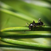 /album/menutest/photolia-a05-jpg/