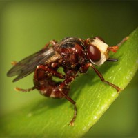 /album/menutest/photolia-a06-jpg/