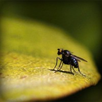 /album/menutest/photolia-a07-jpg/